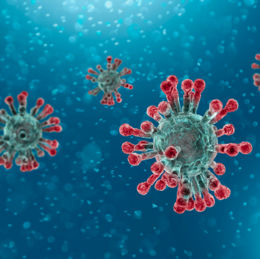 Coronavirus