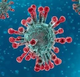 Le premier vaccin Covid-19 autorisé dans l'UE